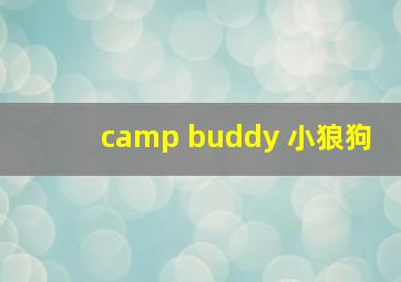 camp buddy 小狼狗